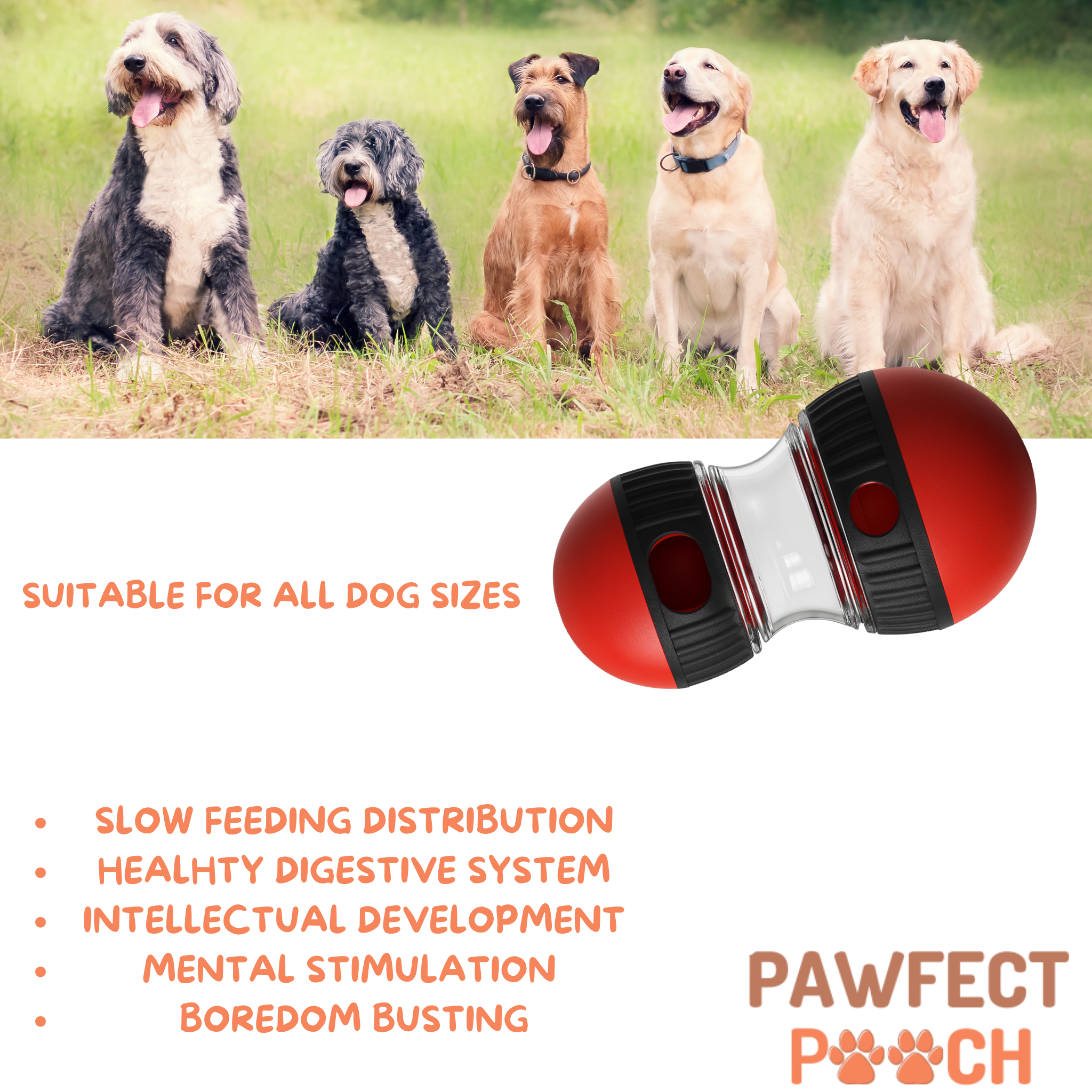 Treat Dispenser Enrichment Toy