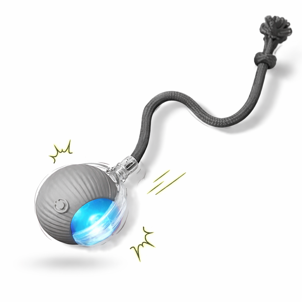 PawfectPooch Interactive Ball Toy
