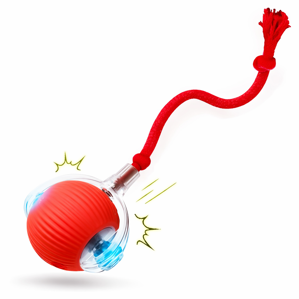 PawfectPooch Interactive Ball Toy