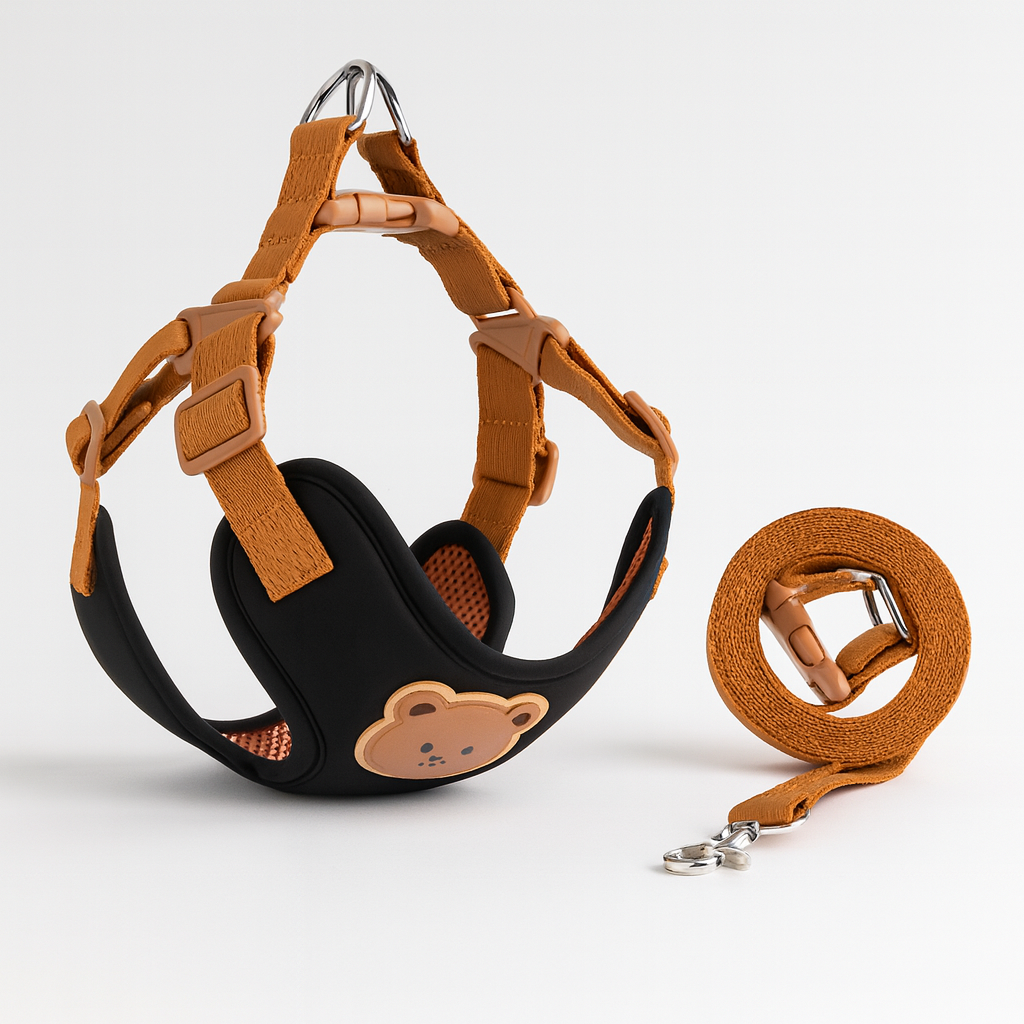 Cute Teddy Harness and Lead Set