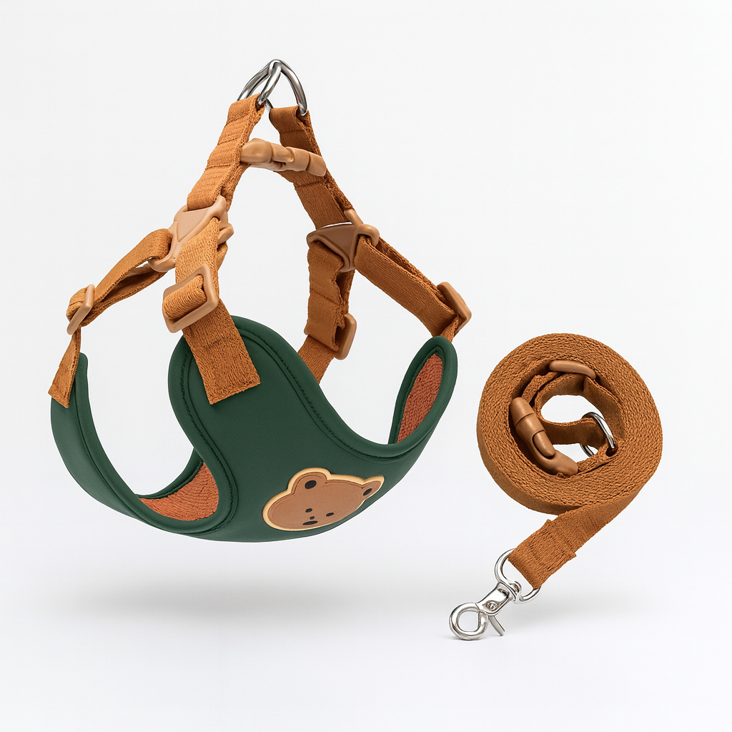 Cute Teddy Harness and Lead Set