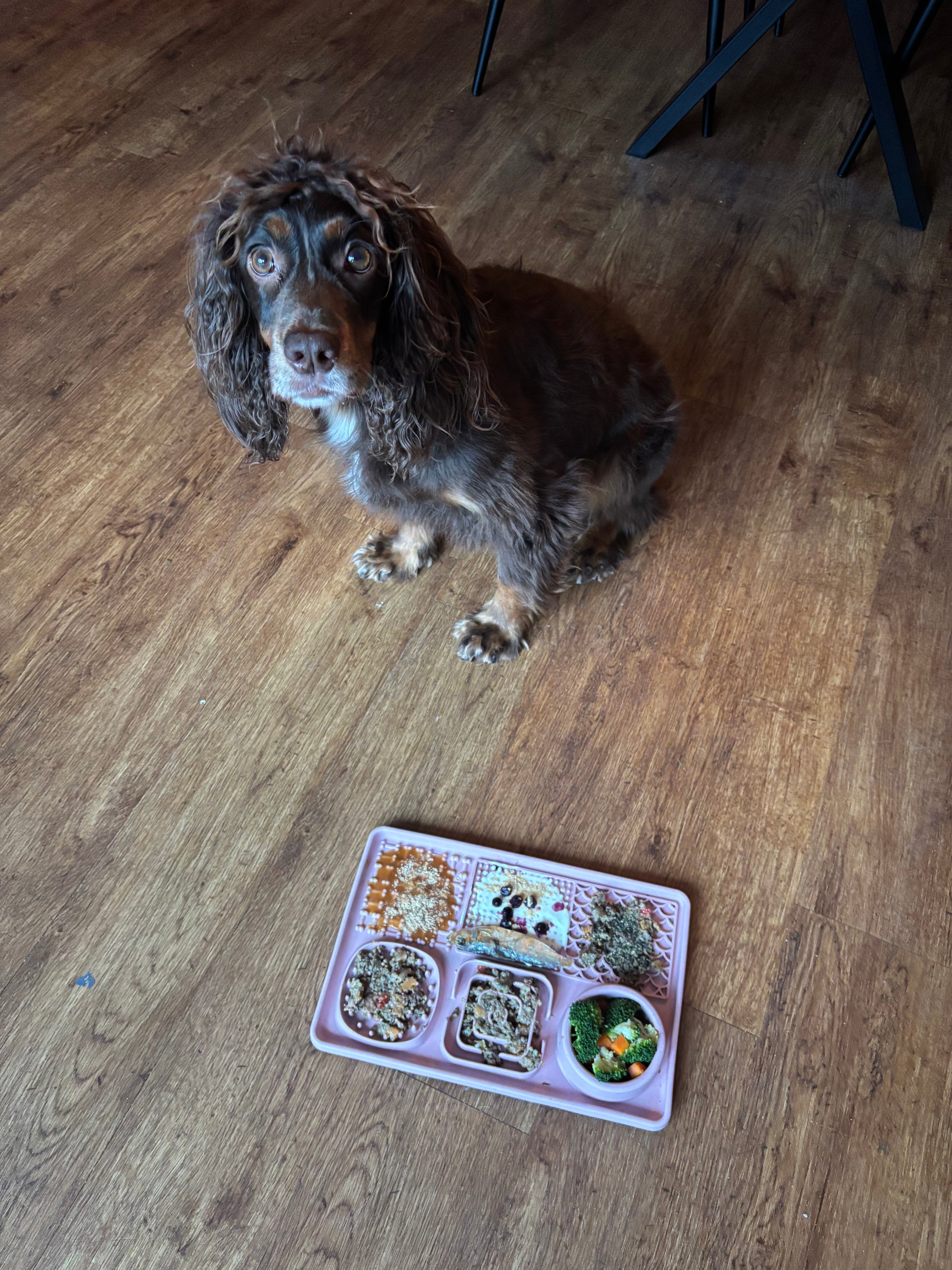 Multi Use - Licking Mat