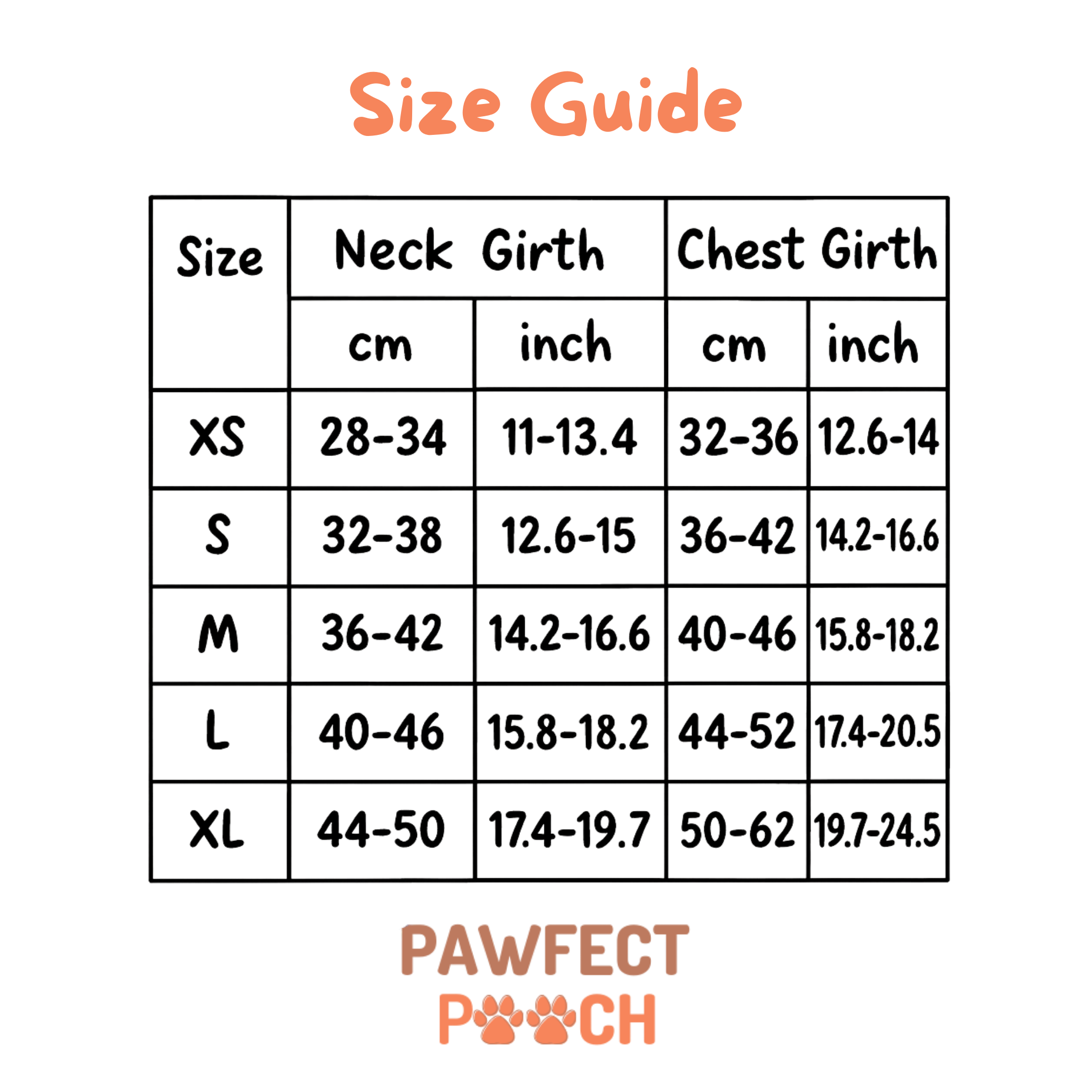 Cute Teddy Harness and Lead Set